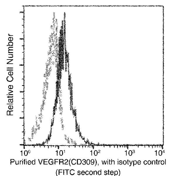 VEGF Receptor 2 Antibody in Flow Cytometry (Flow)