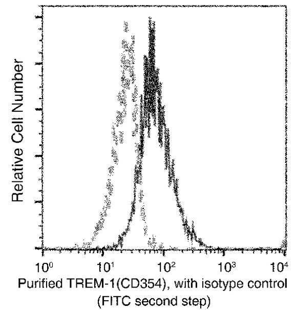 TREM1 Antibody in Flow Cytometry (Flow)
