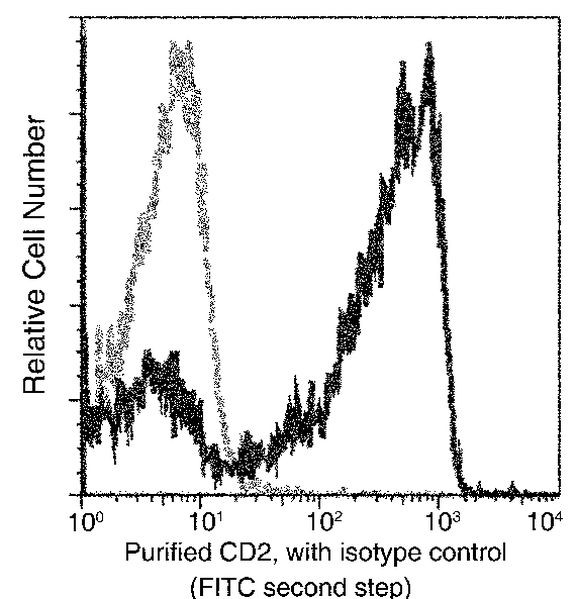 CD2 Antibody in Flow Cytometry (Flow)