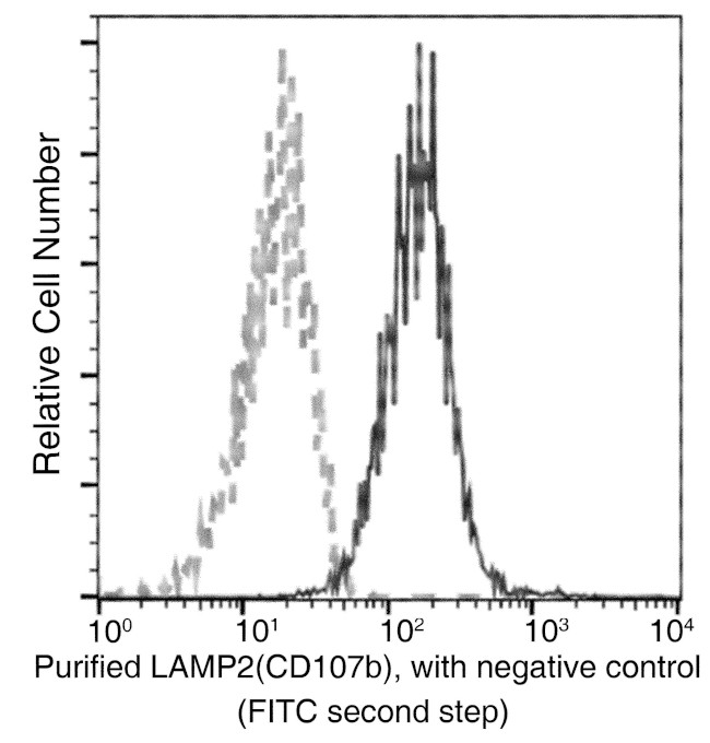 LAMP2 Antibody in Flow Cytometry (Flow)