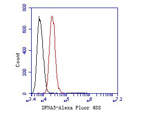 DFNA5 Antibody in Flow Cytometry (Flow)