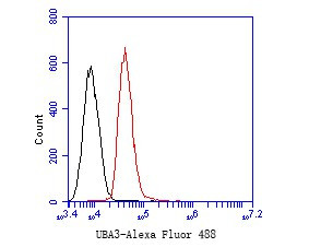 UBA3 Antibody in Flow Cytometry (Flow)