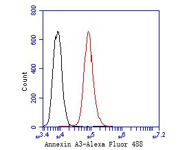 Annexin A3 Antibody in Flow Cytometry (Flow)