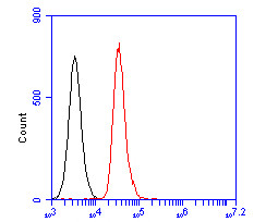 CASK Antibody in Flow Cytometry (Flow)