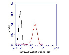SLC22A3 Antibody in Flow Cytometry (Flow)