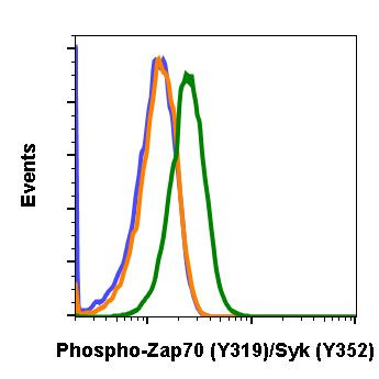 Phospho-ZAP70/Syk (Tyr319, Tyr352) Antibody in Flow Cytometry (Flow)