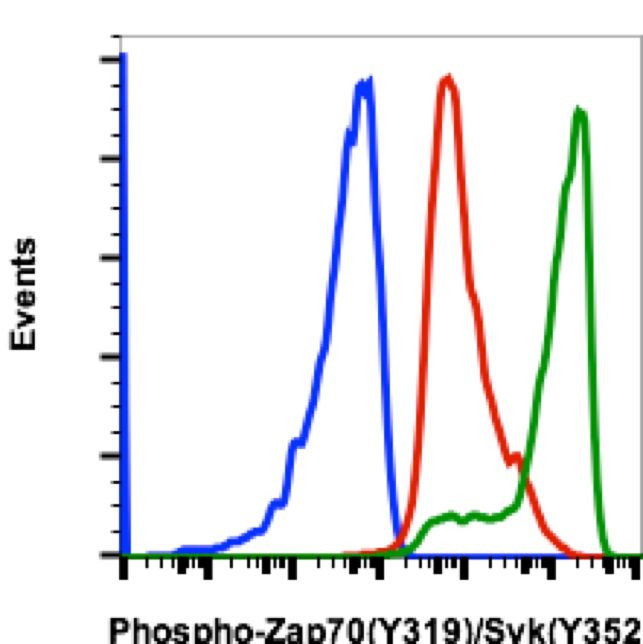 Phospho-ZAP70/Syk (Tyr319, Tyr352) Antibody in Flow Cytometry (Flow)