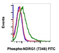 Phospho-NDRG1 (Thr346) Antibody in Flow Cytometry (Flow)