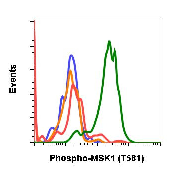 Phospho-MSK1 (Thr581) Antibody in Flow Cytometry (Flow)