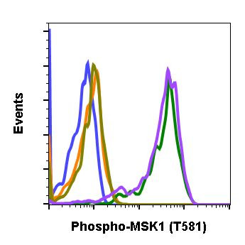 Phospho-MSK1 (Thr581) Antibody in Flow Cytometry (Flow)