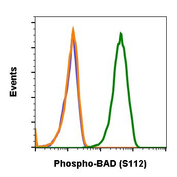 Phospho-BAD (Ser112) Antibody in Flow Cytometry (Flow)