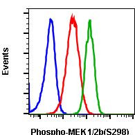 Phospho-MEK1 (Ser298) Antibody in Flow Cytometry (Flow)