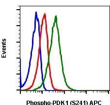 Phospho-PDPK1 (Ser241) Antibody in Flow Cytometry (Flow)