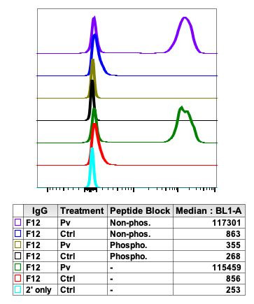 Phospho-HCLS1 (Tyr397) Antibody in Flow Cytometry (Flow)