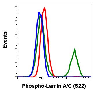 Phospho-Lamin A/C (Ser22) Antibody in Flow Cytometry (Flow)