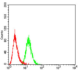 BMP-4 Antibody in Flow Cytometry (Flow)