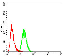 MEK3 Antibody in Flow Cytometry (Flow)