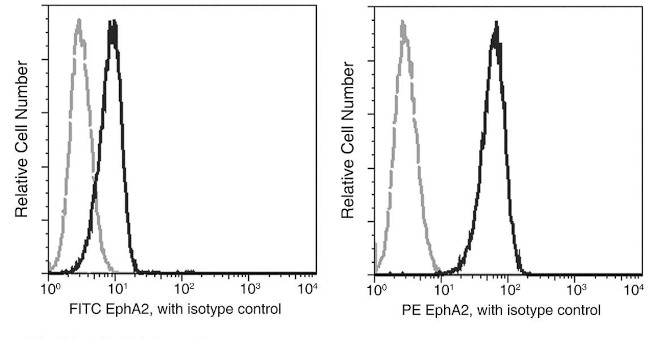 EphA2 Antibody in Flow Cytometry (Flow)