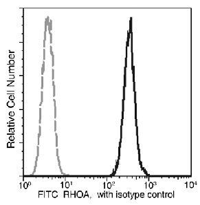 RhoA Antibody in Flow Cytometry (Flow)