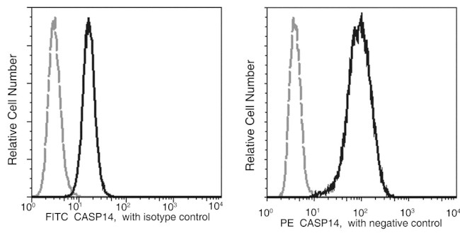 Caspase 14 Antibody in Flow Cytometry (Flow)