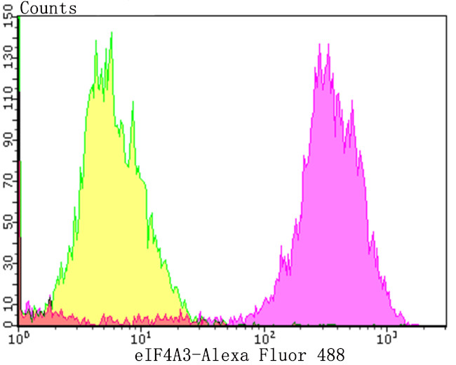 eIF4A3 Antibody in Flow Cytometry (Flow)