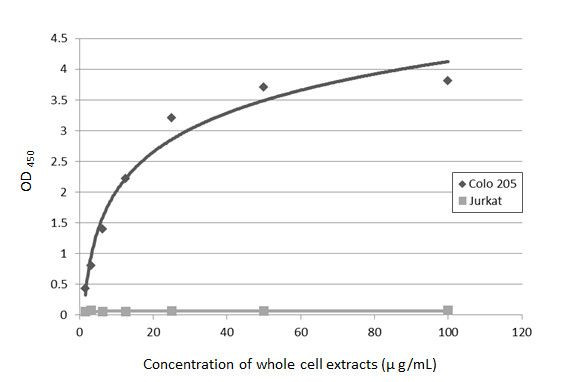 CA19-9 Antibody in ELISA (ELISA)