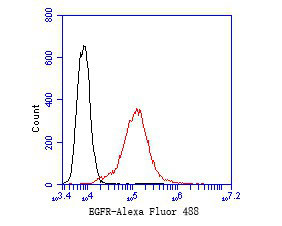 EGFR Antibody in Flow Cytometry (Flow)