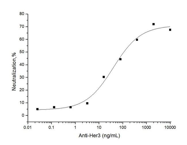 ErbB3 Chimeric Antibody in Neutralization (Neu)