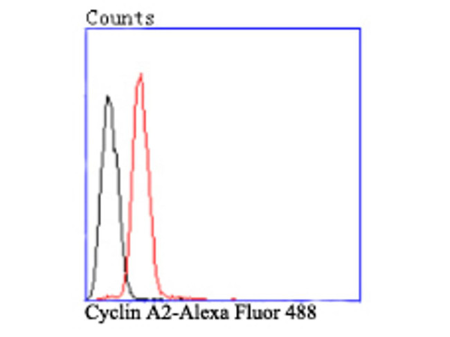 Cyclin A2 Antibody in Flow Cytometry (Flow)