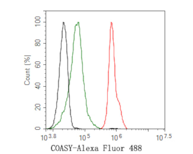 CoA Synthase Antibody in Flow Cytometry (Flow)