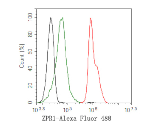 ZPR1 Antibody in Flow Cytometry (Flow)