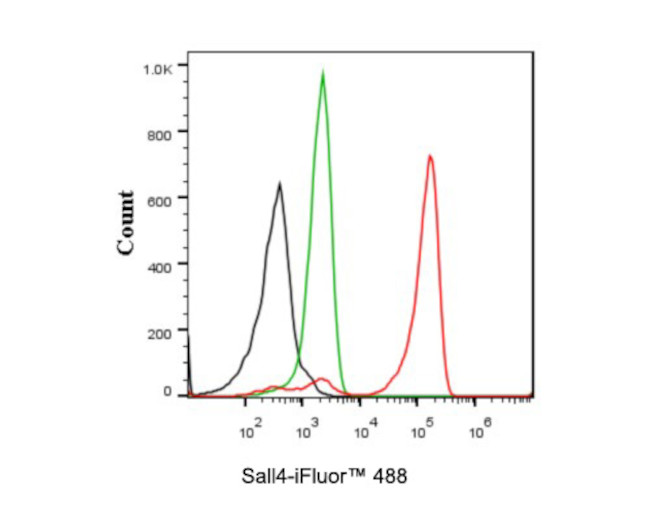 SALL4 Antibody in Flow Cytometry (Flow)