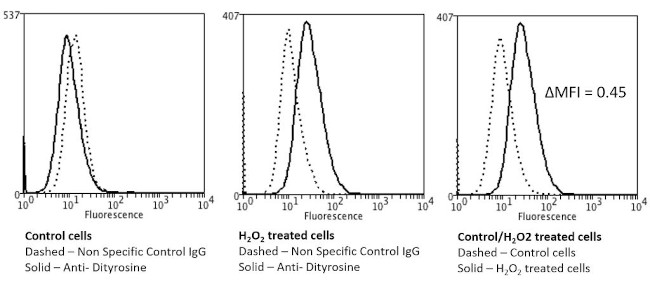 Dityrosine Antibody in Flow Cytometry (Flow)