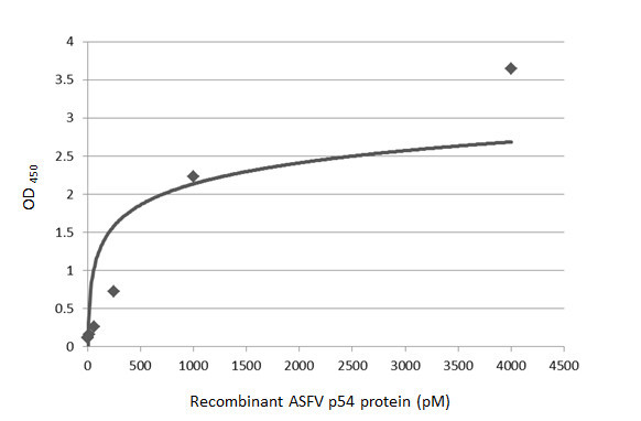 African Swine Fever Virus Structural Protein p54 Antibody in ELISA (ELISA)