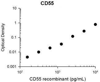 CD55 Antibody in ELISA (ELISA)