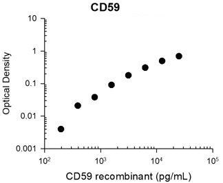 CD59 Antibody in ELISA (ELISA)