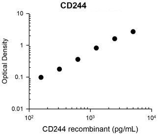 CD244 (2B4) Antibody in ELISA (ELISA)