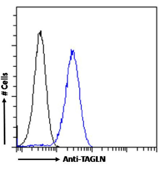 TAGLN Antibody in Flow Cytometry (Flow)