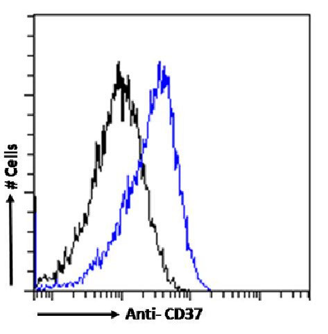 CD37 Antibody in Flow Cytometry (Flow)