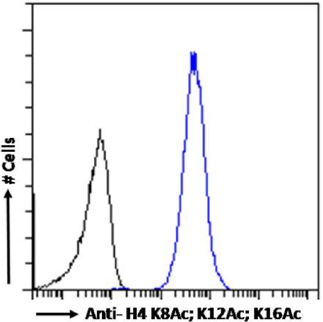 H4ac pan-acetyl (K8,K12,K16) Chimeric Antibody in Flow Cytometry (Flow)