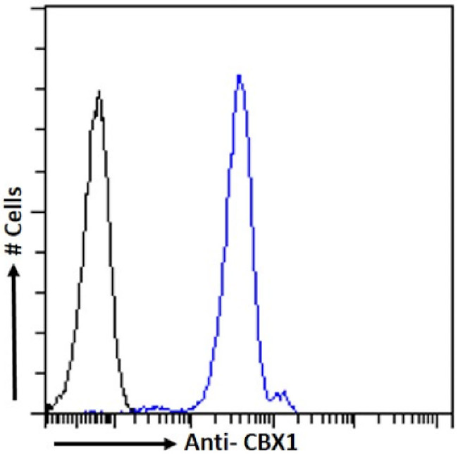 HP1 beta Chimeric Antibody in Flow Cytometry (Flow)