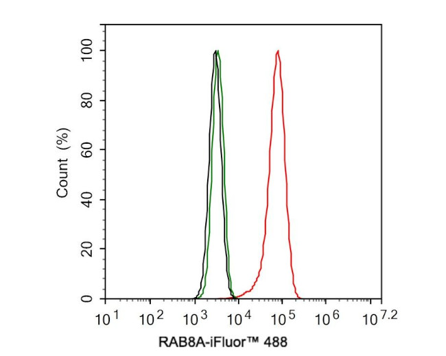 RAB8A Antibody in Flow Cytometry (Flow)