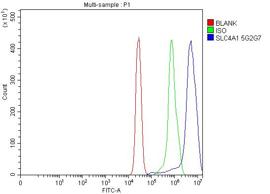 Band 3 Antibody in Flow Cytometry (Flow)