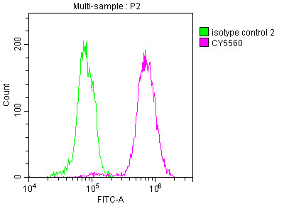 ATP Citrate Lyase Antibody in Flow Cytometry (Flow)
