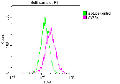 TRAF2 Antibody in Flow Cytometry (Flow)