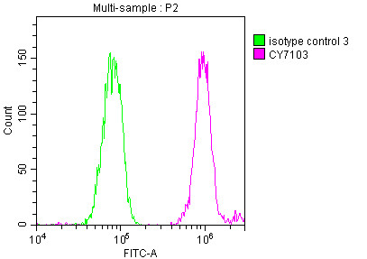 DDX5 Antibody in Flow Cytometry (Flow)