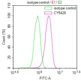 MYLK Antibody in Flow Cytometry (Flow)