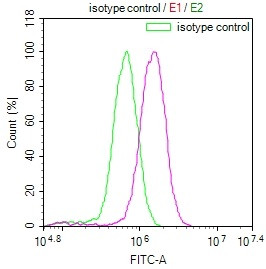 LRP2 Antibody in Flow Cytometry (Flow)