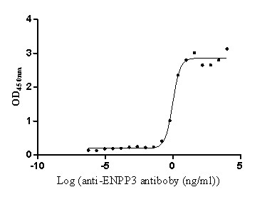 CD203c Antibody in Neutralization (Neu)