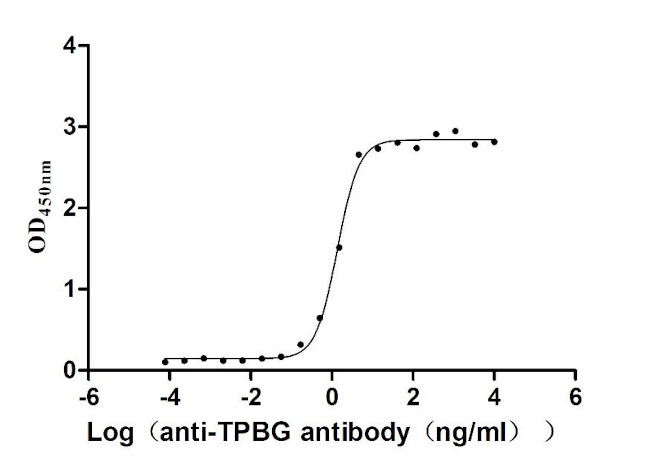 5T4 Antibody in Neutralization (Neu)